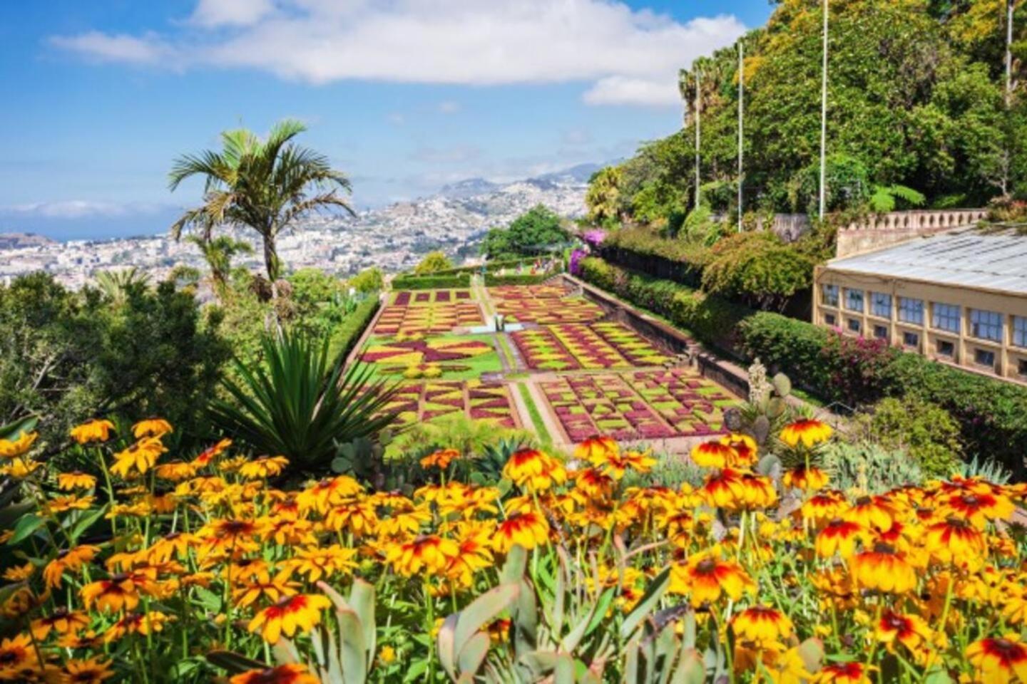 Comfortable 2-Bedroom Apartment For Relaxing Stays Funchal  Ngoại thất bức ảnh